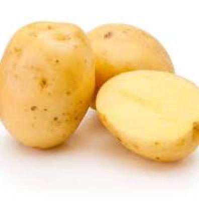 Test Potato